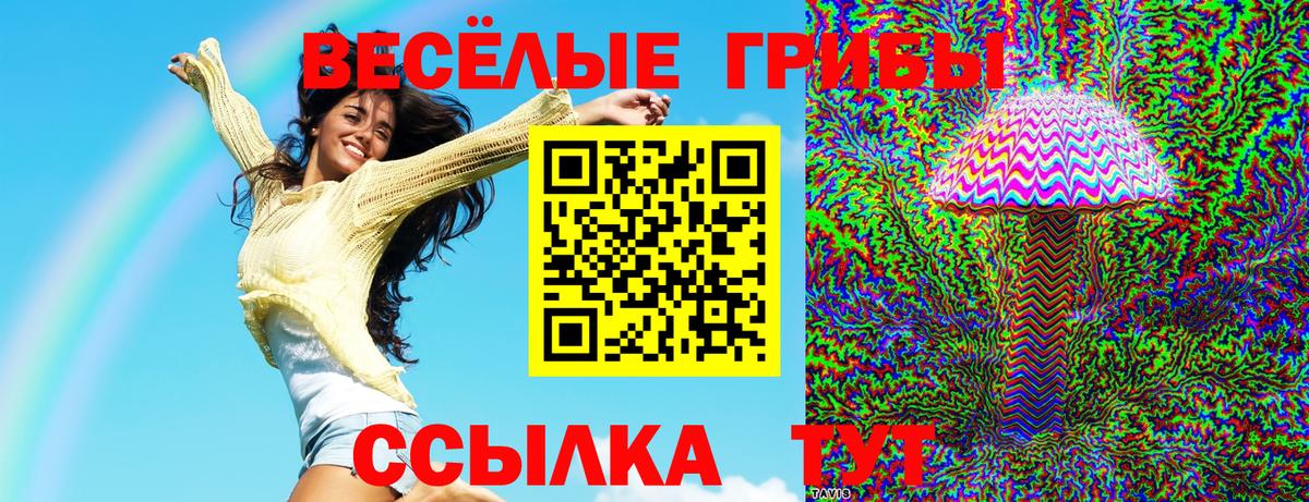 Галлюциногенные грибы Magic Shrooms Анжеро-Судженск